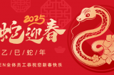 辭舊迎新，蛇舞華章丨深圳容金科技全體員工祝您新春快樂！